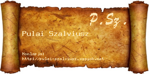 Pulai Szalviusz névjegykártya